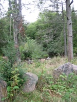 IMG 5746